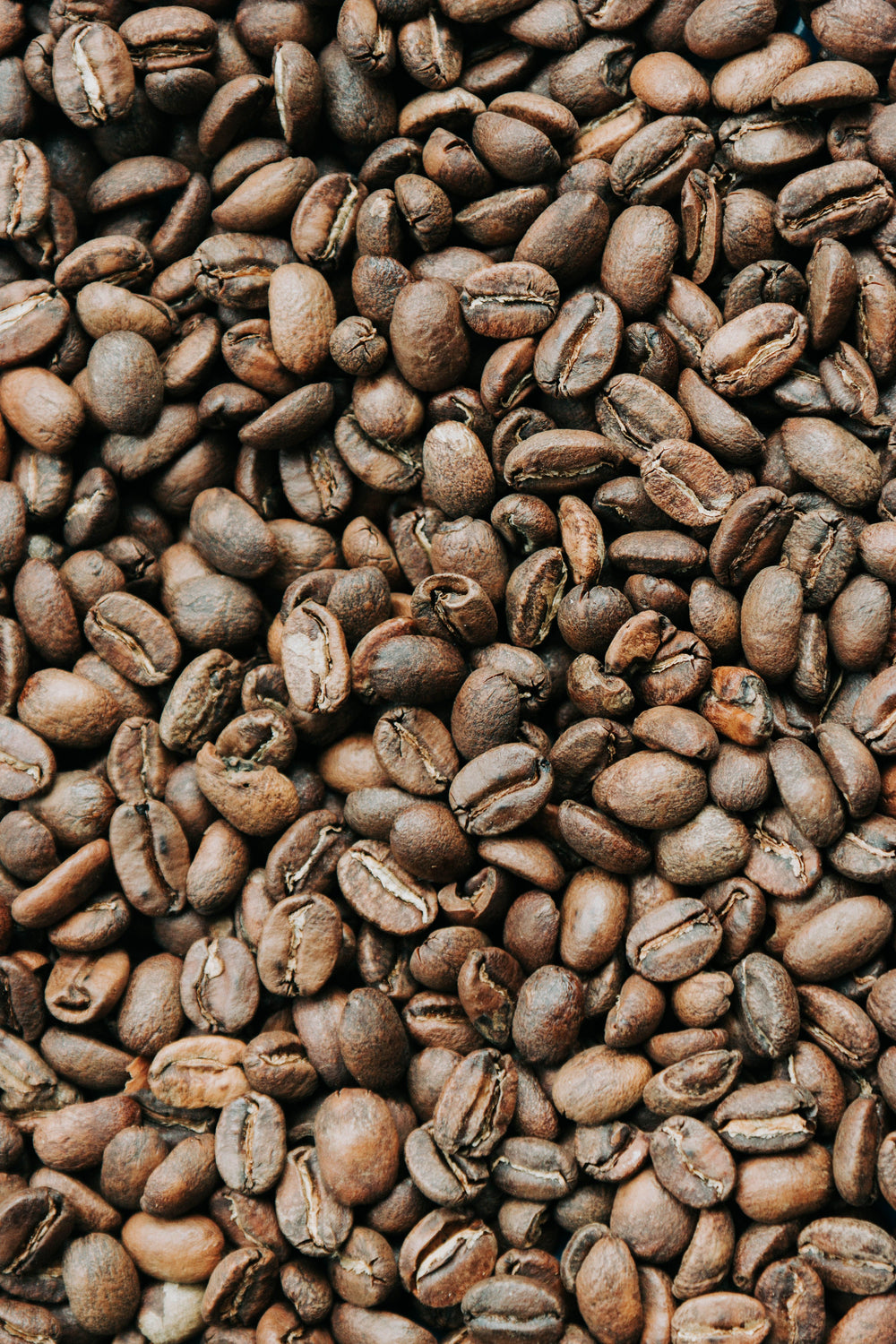 Close-up of roasted coffee beans